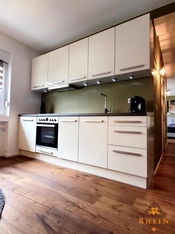 Top Modernes Rhein Apartment Vallendar Mit Balkon Екстер'єр фото