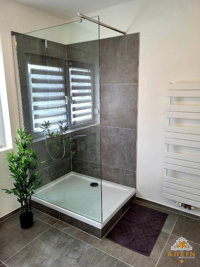 Top Modernes Rhein Apartment Vallendar Mit Balkon Екстер'єр фото
